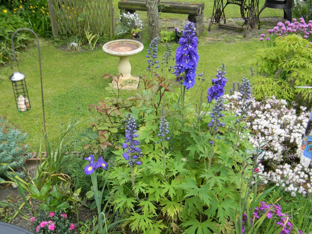 Ugiebrae House Bed & Breakfast North Sunderland Exterior foto